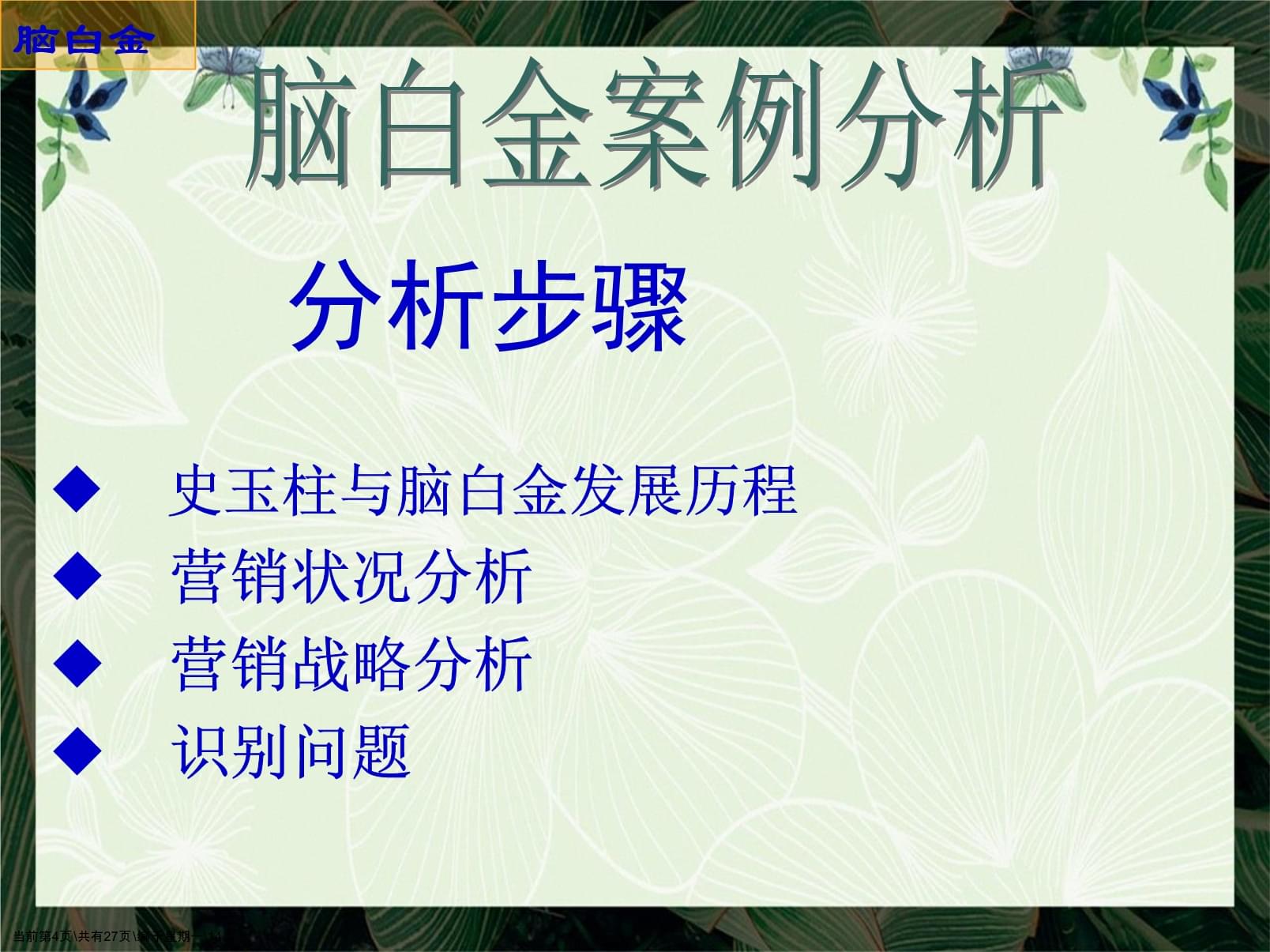 脑白金营销策划案例分析市场营销演示文稿